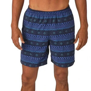 Patagonia lined shorts